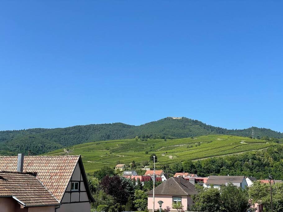 A2 Pas De Colmar Terrasse,Parking Lägenhet Wintzenheim Exteriör bild