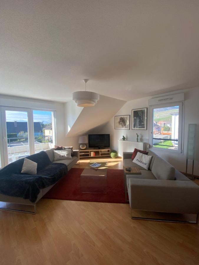 A2 Pas De Colmar Terrasse,Parking Lägenhet Wintzenheim Exteriör bild