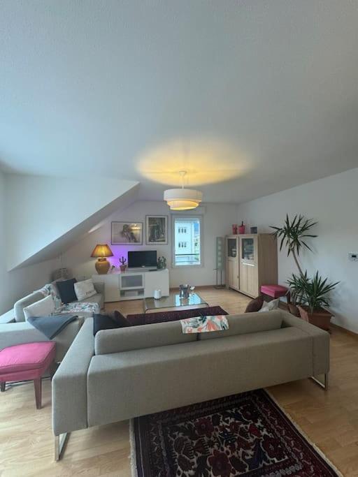 A2 Pas De Colmar Terrasse,Parking Lägenhet Wintzenheim Exteriör bild