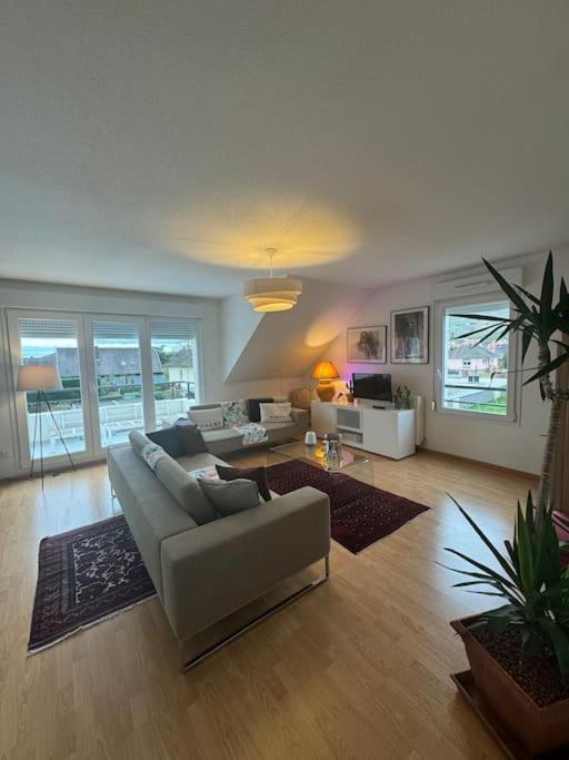 A2 Pas De Colmar Terrasse,Parking Lägenhet Wintzenheim Exteriör bild
